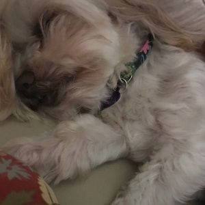 Meet your Posher, Jack